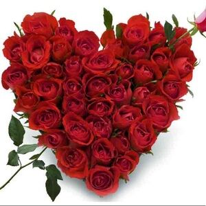 Thank you for sharing 🌸